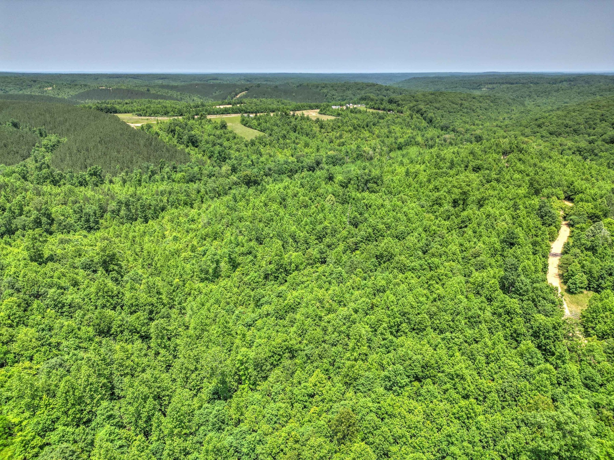 43 Ridgetop Road Hampshire, TN 38461 - Photo 9 of 21