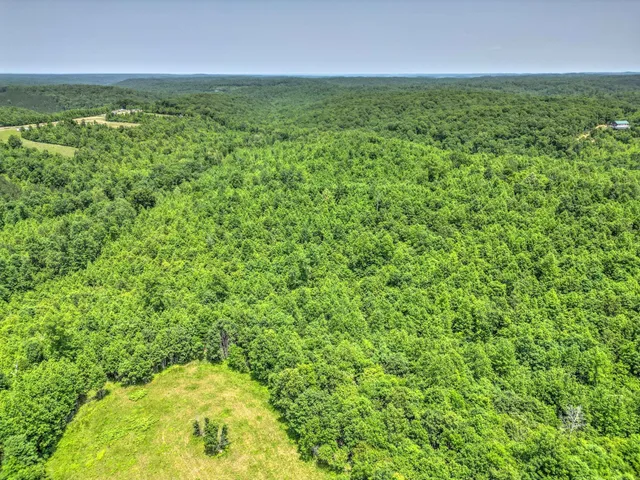 $100,000 | 43 Ridgetop Road, Hampshire, TN 38461