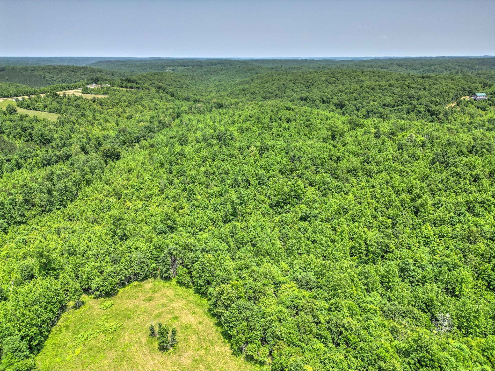 43 Ridgetop Road Hampshire, TN 38461 - Photo 10 of 21