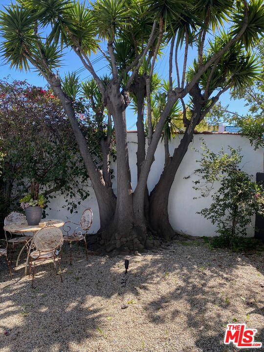 1053 South Alfred Street, Unit A Los Angeles, CA 90035 - Photo 1 of 11 a view of a backyard