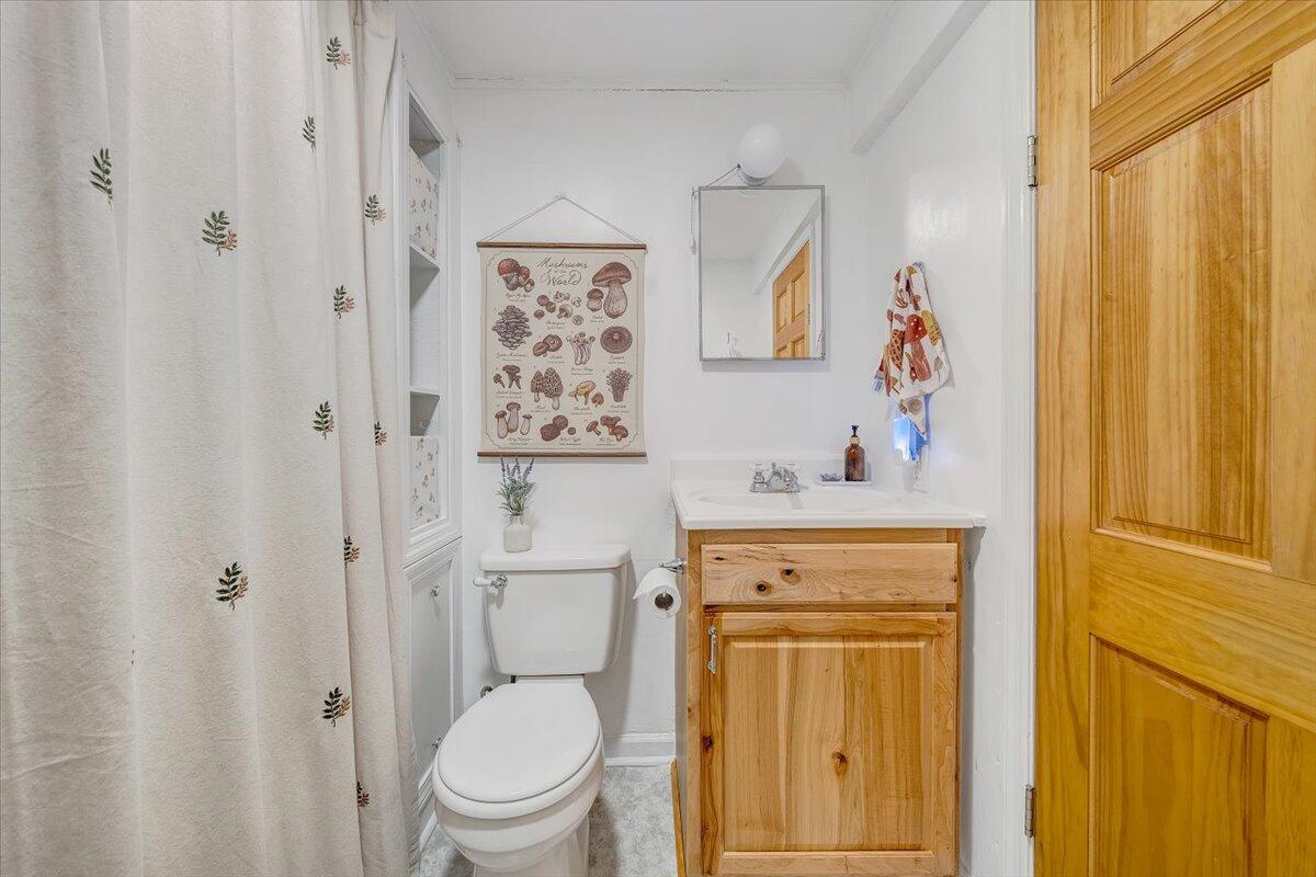 7346 Old Mill Road Roanoke, VA 24018 - Photo 24 of 48 a bathroom with a toilet sink and vanity