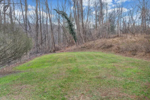 a view of a yard with a tree
