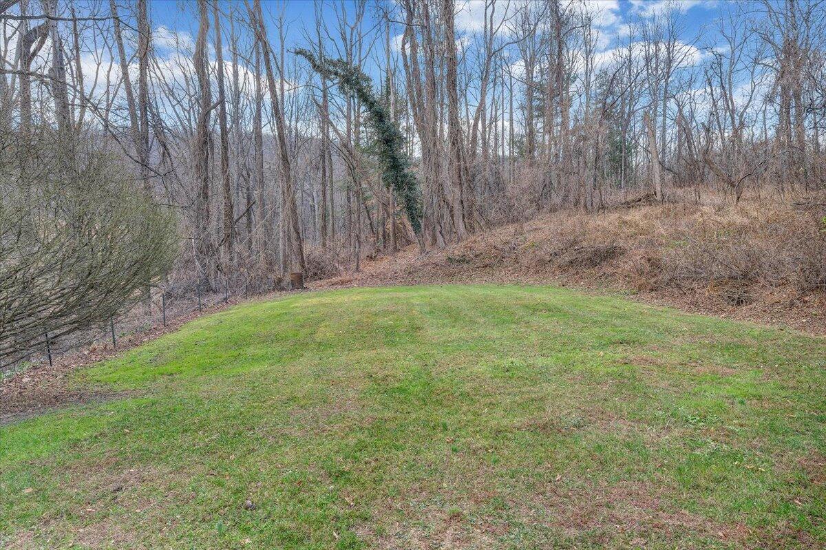 7346 Old Mill Road Roanoke, VA 24018 - Photo 28 of 48 a view of a yard with a tree