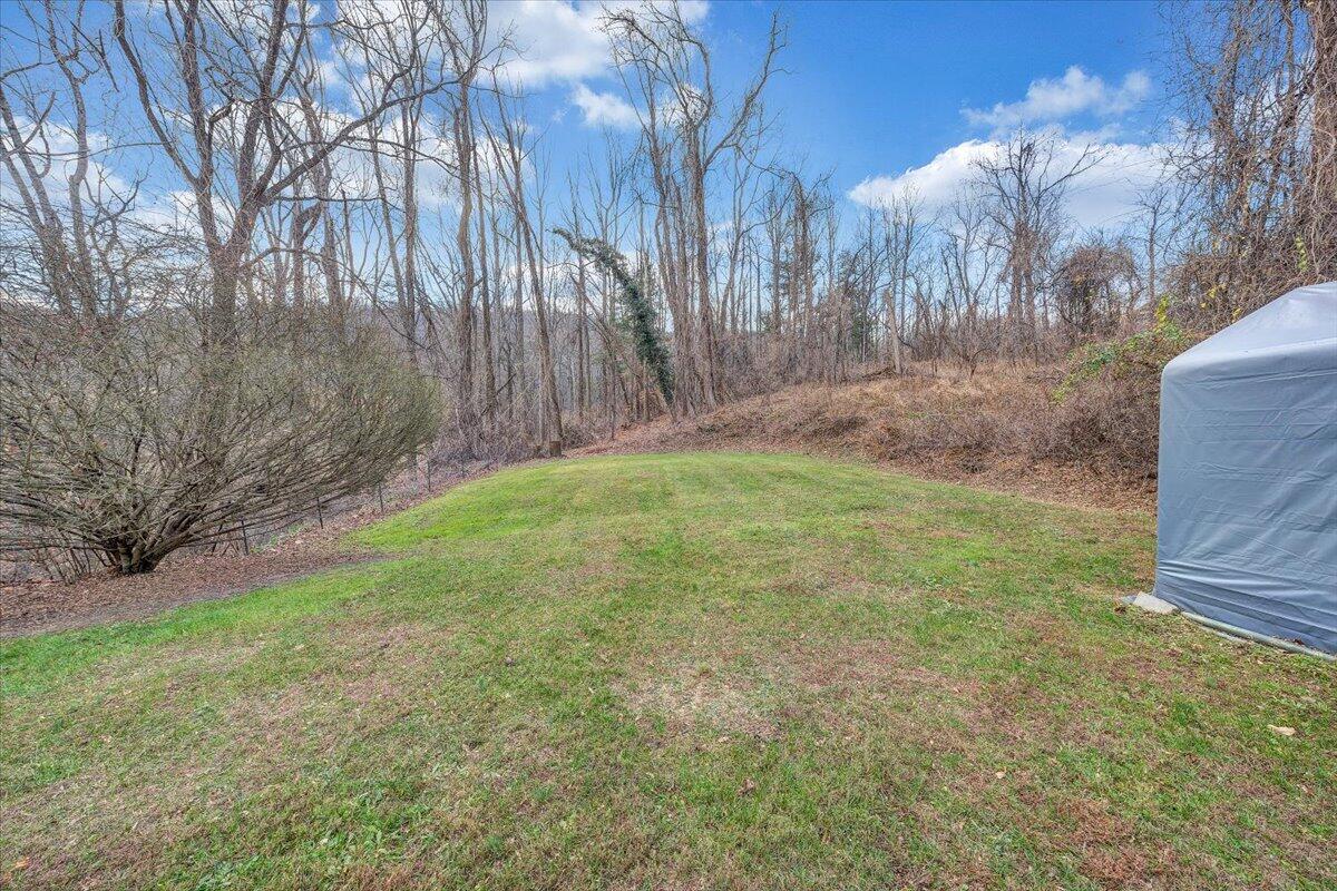 7346 Old Mill Road Roanoke, VA 24018 - Photo 29 of 48 a backyard of a house with lots of green space