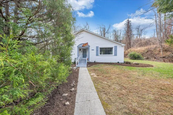 a backyard of a house with plants and large tree