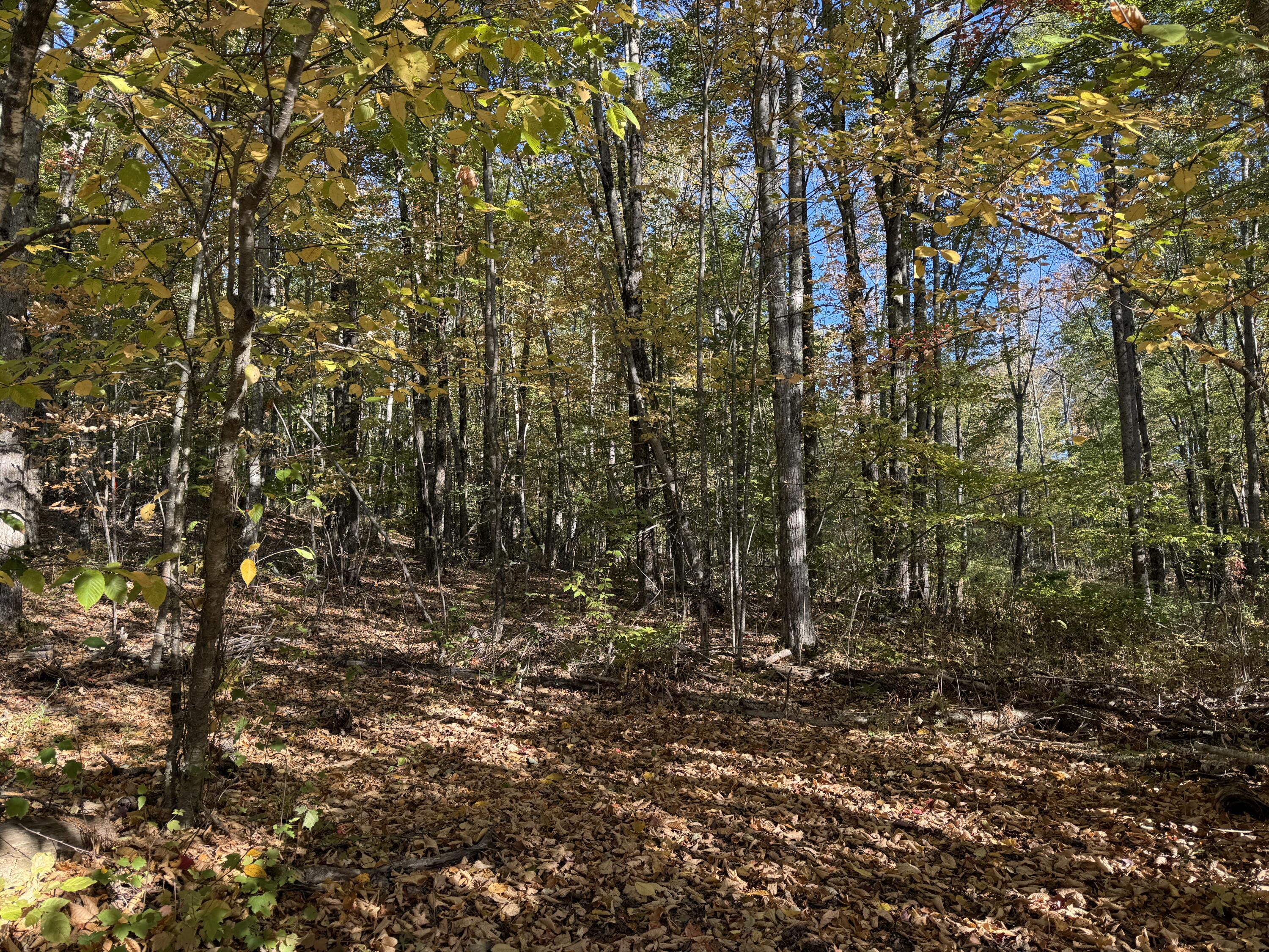 0 Ross Hill Road St. Albans, ME 04971 - Photo 3 of 9