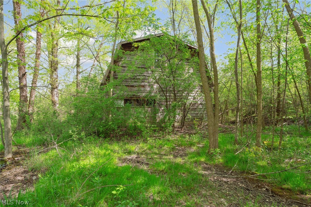 46180 Butternut Ridge Road Oberlin, OH 44074 - Photo 28 of 35 Old non-functioning structure in rear of property.