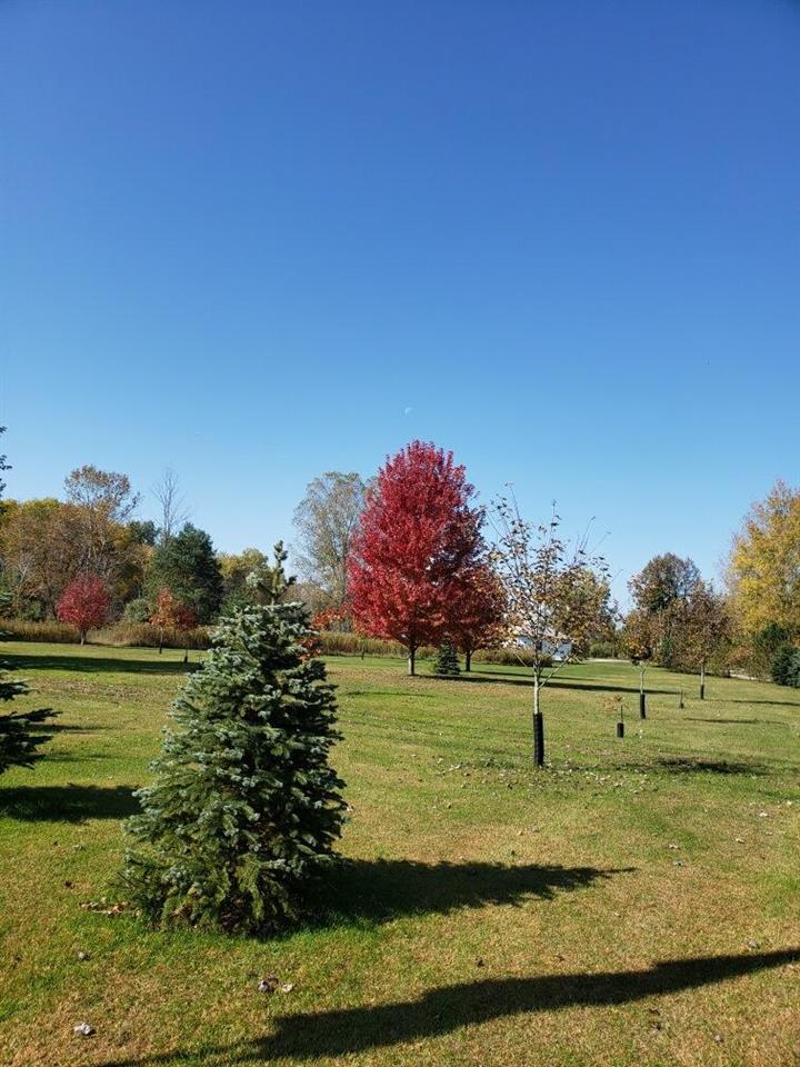 4585 Wyatt Road Standish, MI 48658 - Photo 14 of 29 1873473-13.JPG