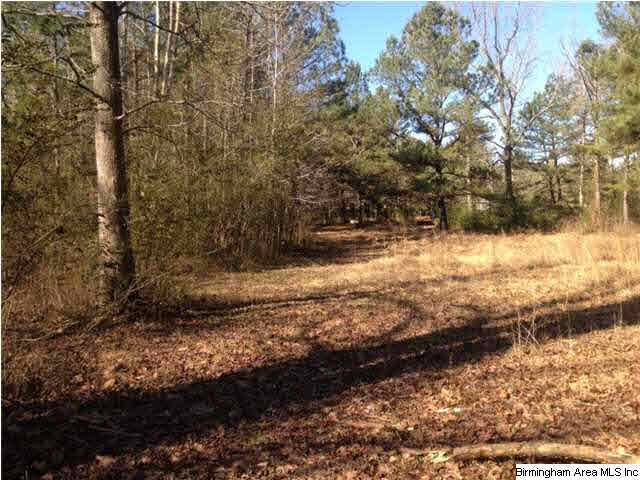 535 Wall Street Warrior, AL 35180 - Photo 3 of 12