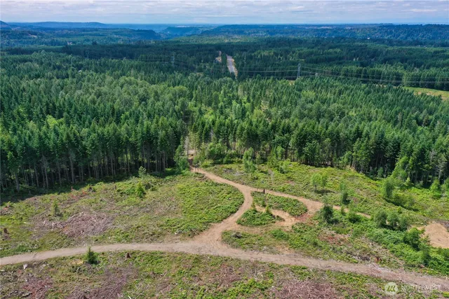 a view of a back yard