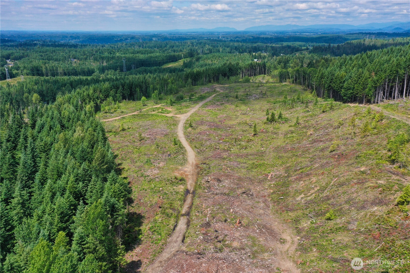 0 A P Tubbs Road Buckley, WA 98321 - Photo 11 of 27 a view of a water pond with green yard
