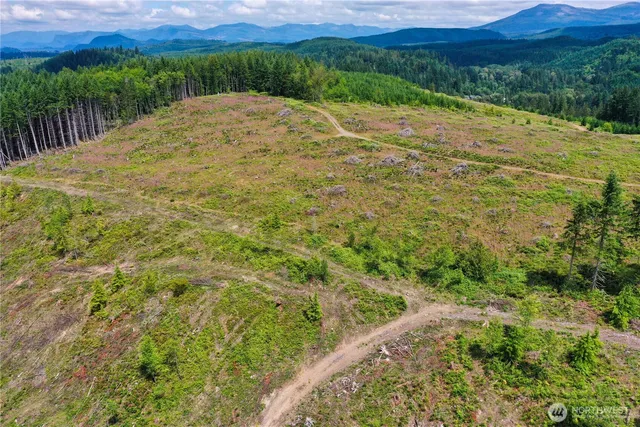 a view of a lush green field with a view of mountains in the background