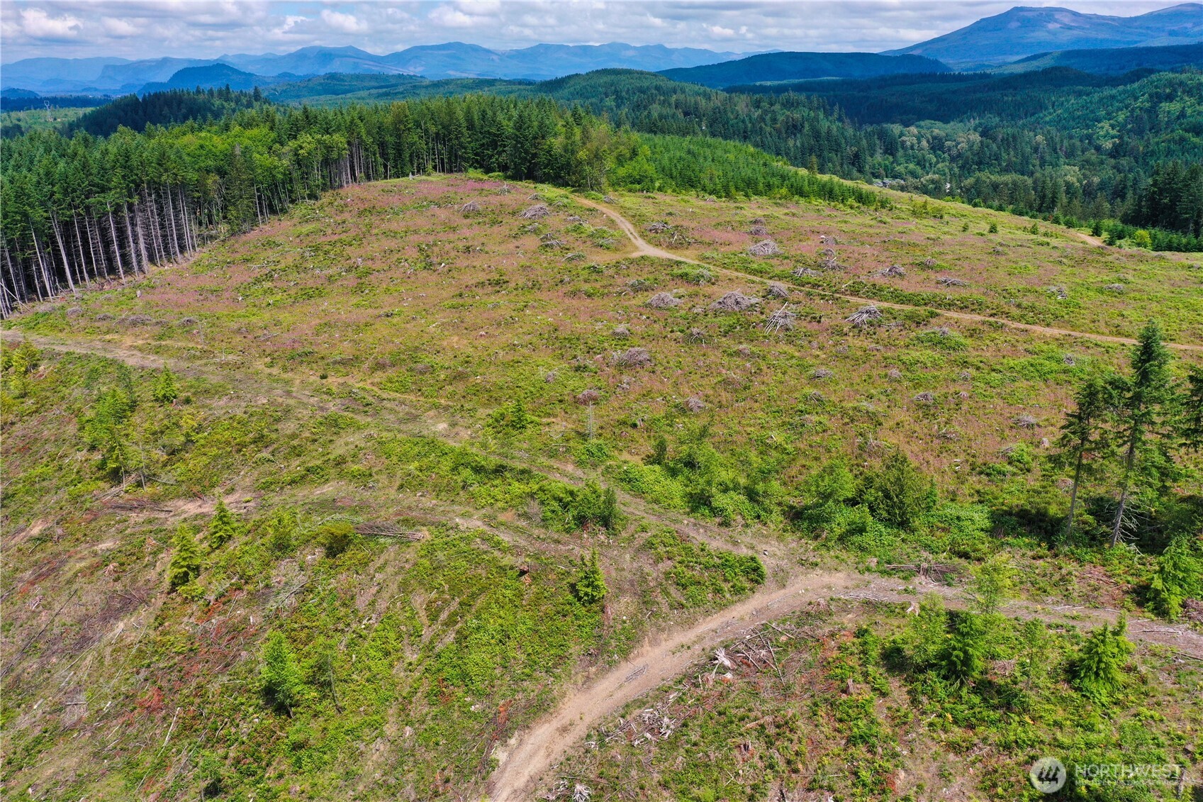 0 A P Tubbs Road Buckley, WA 98321 - Photo 12 of 27 a view of a pathway with a yard