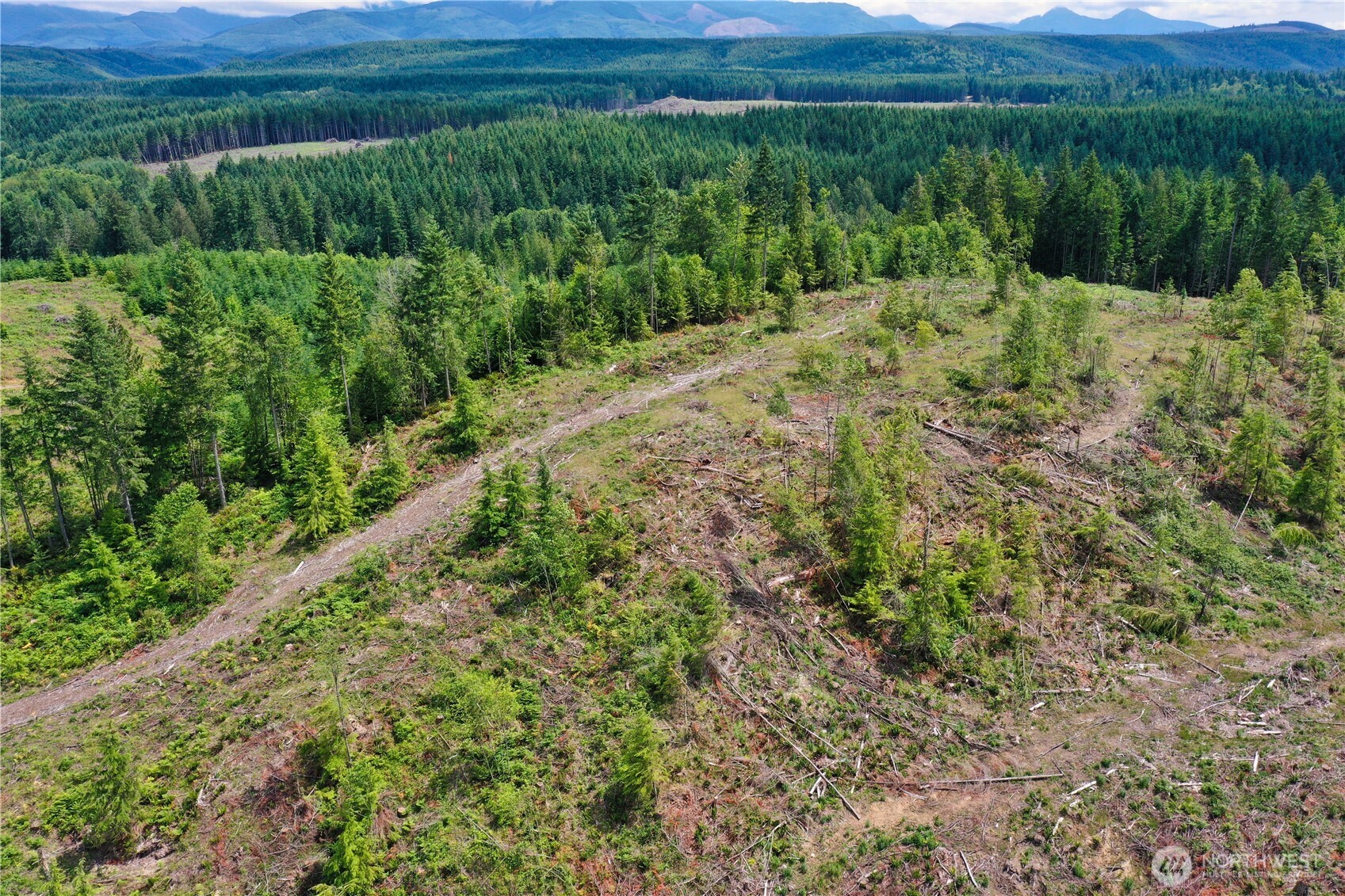 0 A P Tubbs Road Buckley, WA 98321 - Photo 13 of 27 a view of a lush green field with a view of mountains in the background