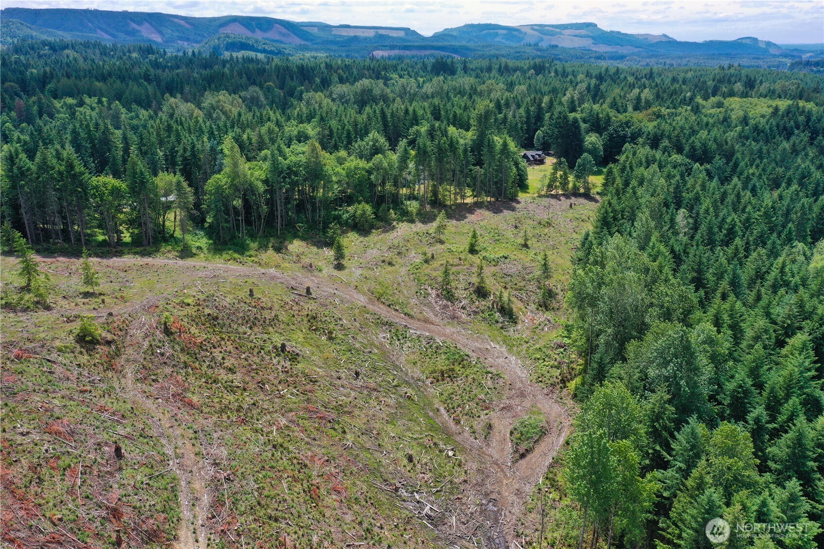 0 A P Tubbs Road Buckley, WA 98321 - Photo 14 of 27 a view of a lush green forest with trees in the background