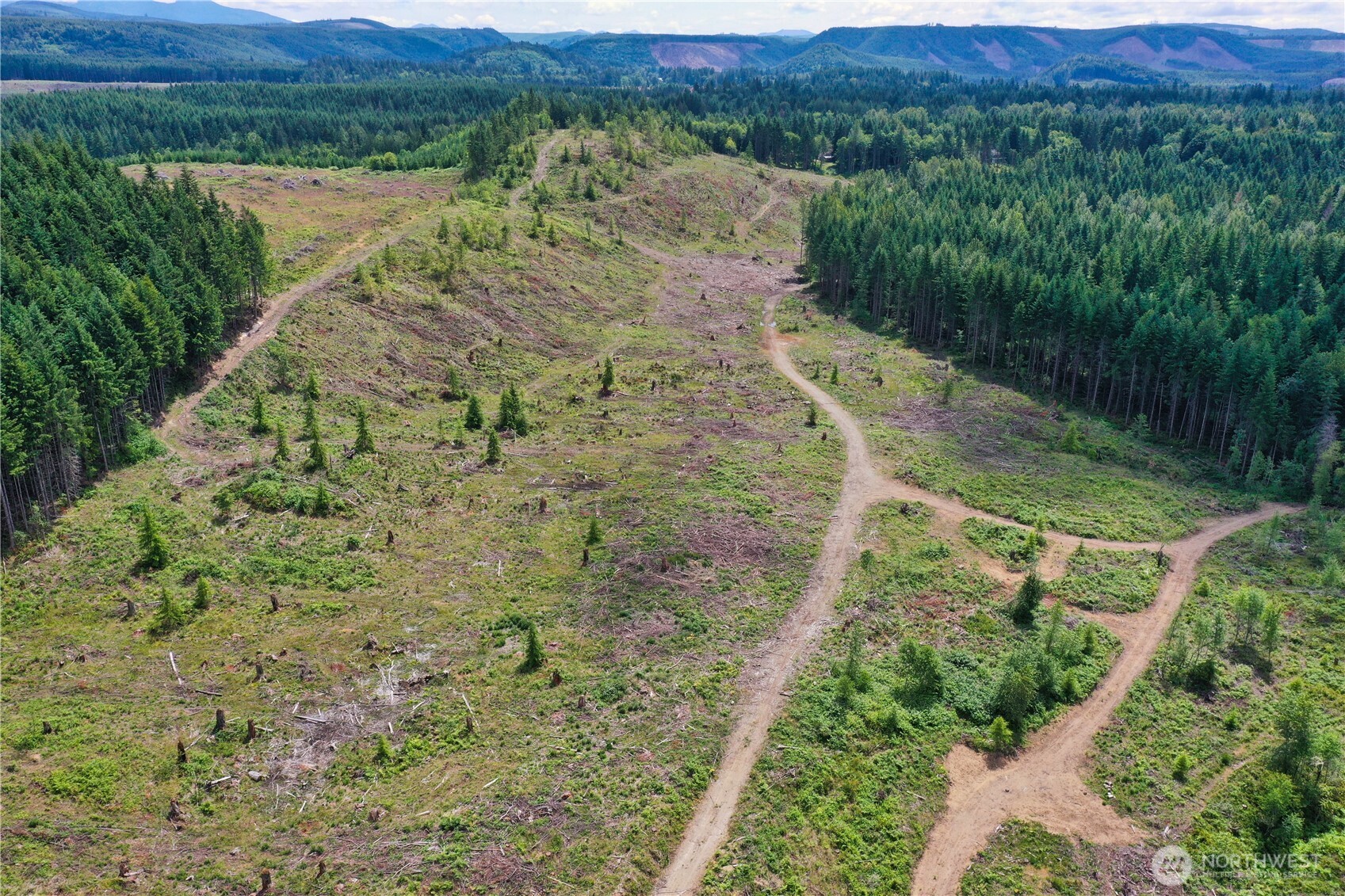 0 A P Tubbs Road Buckley, WA 98321 - Photo 15 of 27 a view of a lush green field with a tree
