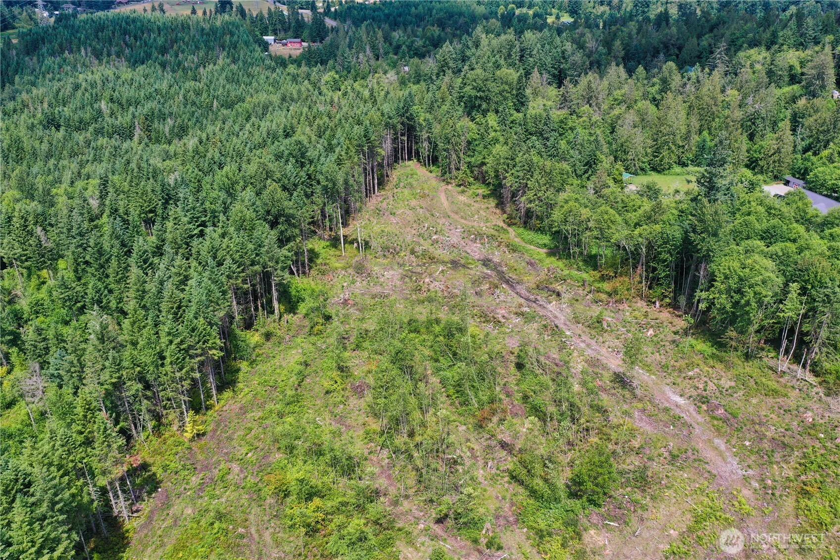 0 A P Tubbs Road Buckley, WA 98321 - Photo 16 of 27 a view of a forest with a tree