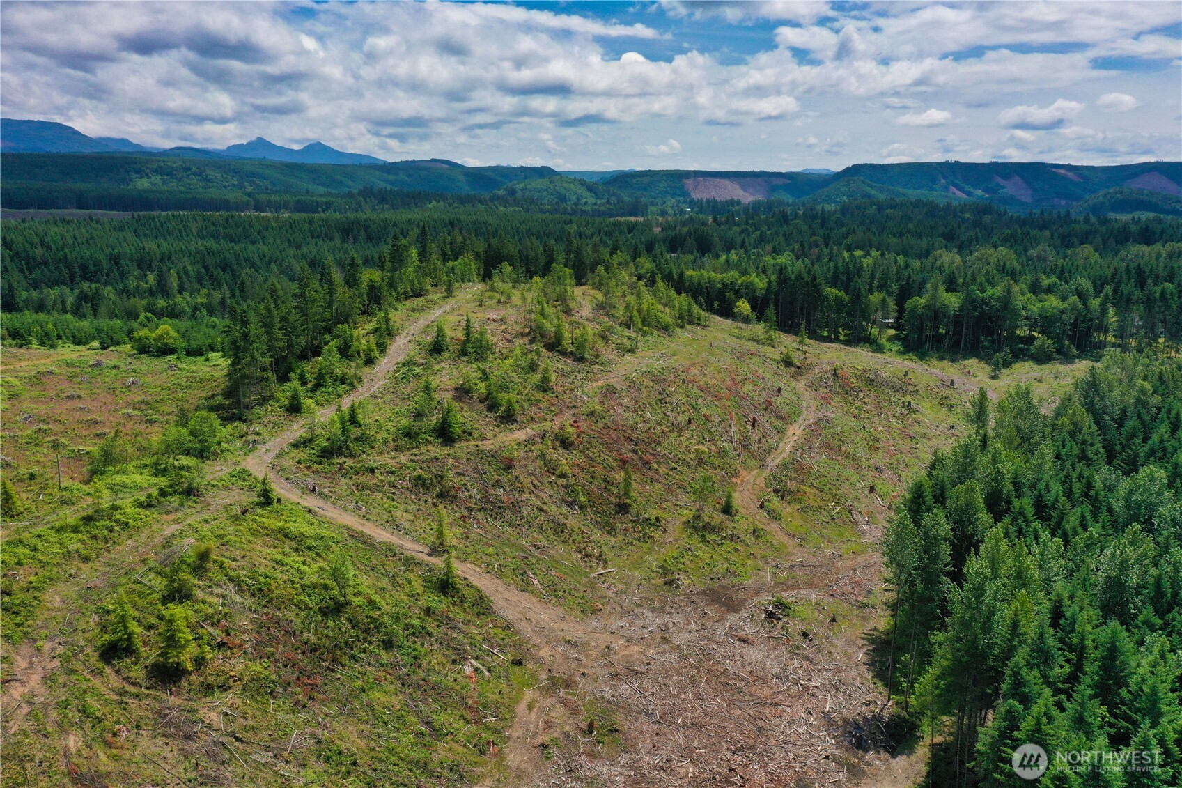 0 A P Tubbs Road Buckley, WA 98321 - Photo 17 of 27 a view of a lake with a mountain in the background