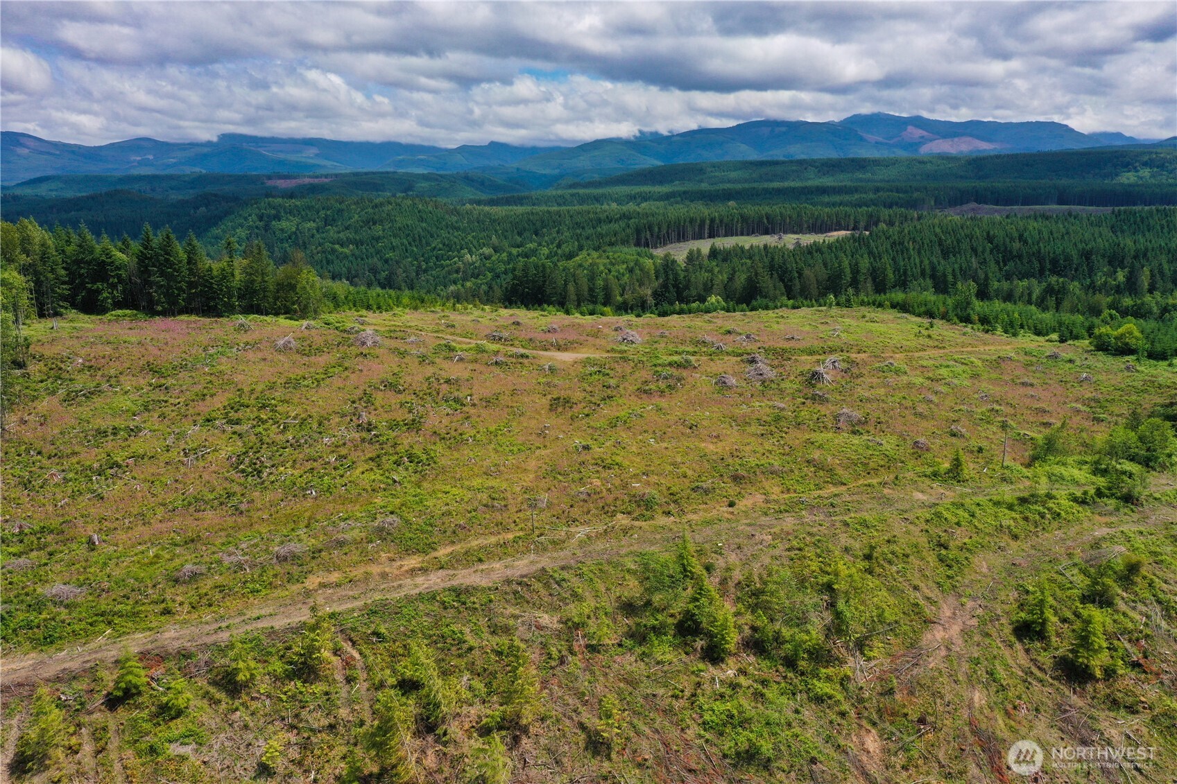 0 A P Tubbs Road Buckley, WA 98321 - Photo 18 of 27 a view of lawn chairs and yard
