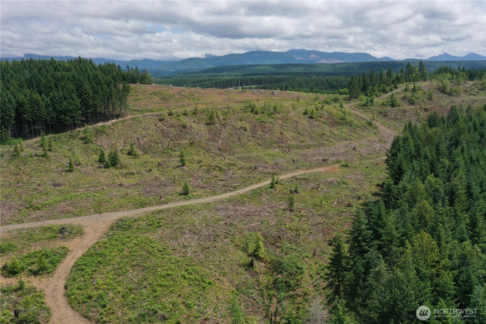 0 A P Tubbs Road Buckley, WA 98321 - Photo 19 of 27 a view of a lake with a building in the background