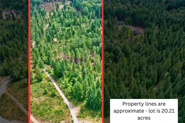 a view of a lush green forest with lots of trees