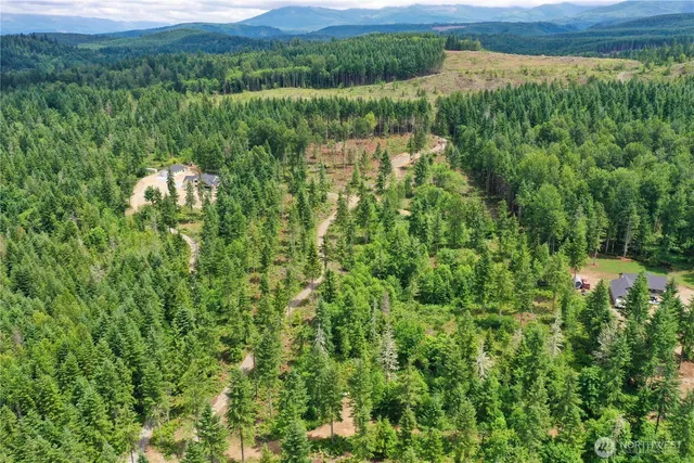 a view of a lake with a mountain in the background