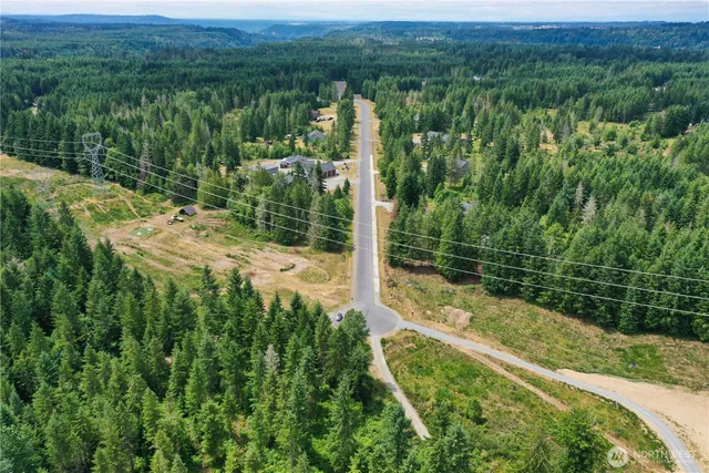 a view of a forest with a houses