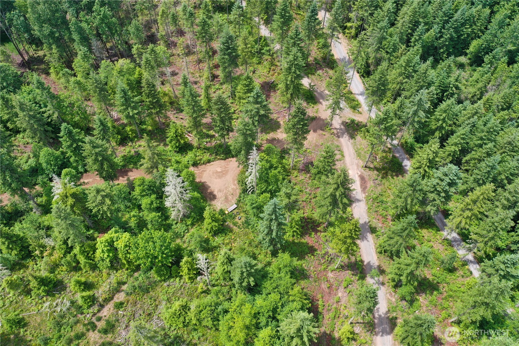 0 A P Tubbs Road Buckley, WA 98321 - Photo 23 of 27 a view of a forest with a houses