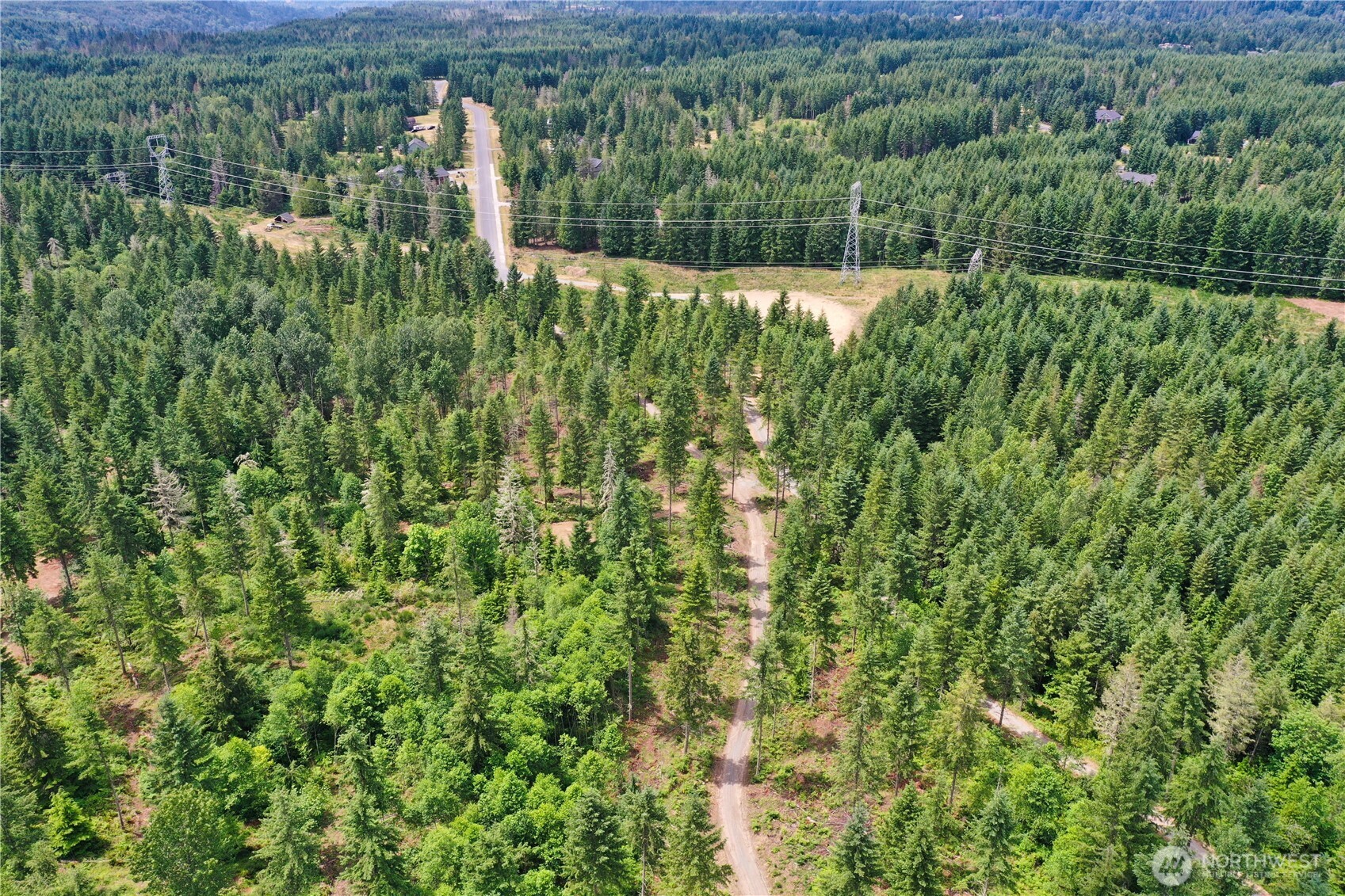 0 A P Tubbs Road Buckley, WA 98321 - Photo 25 of 27 a view of a forest with a street