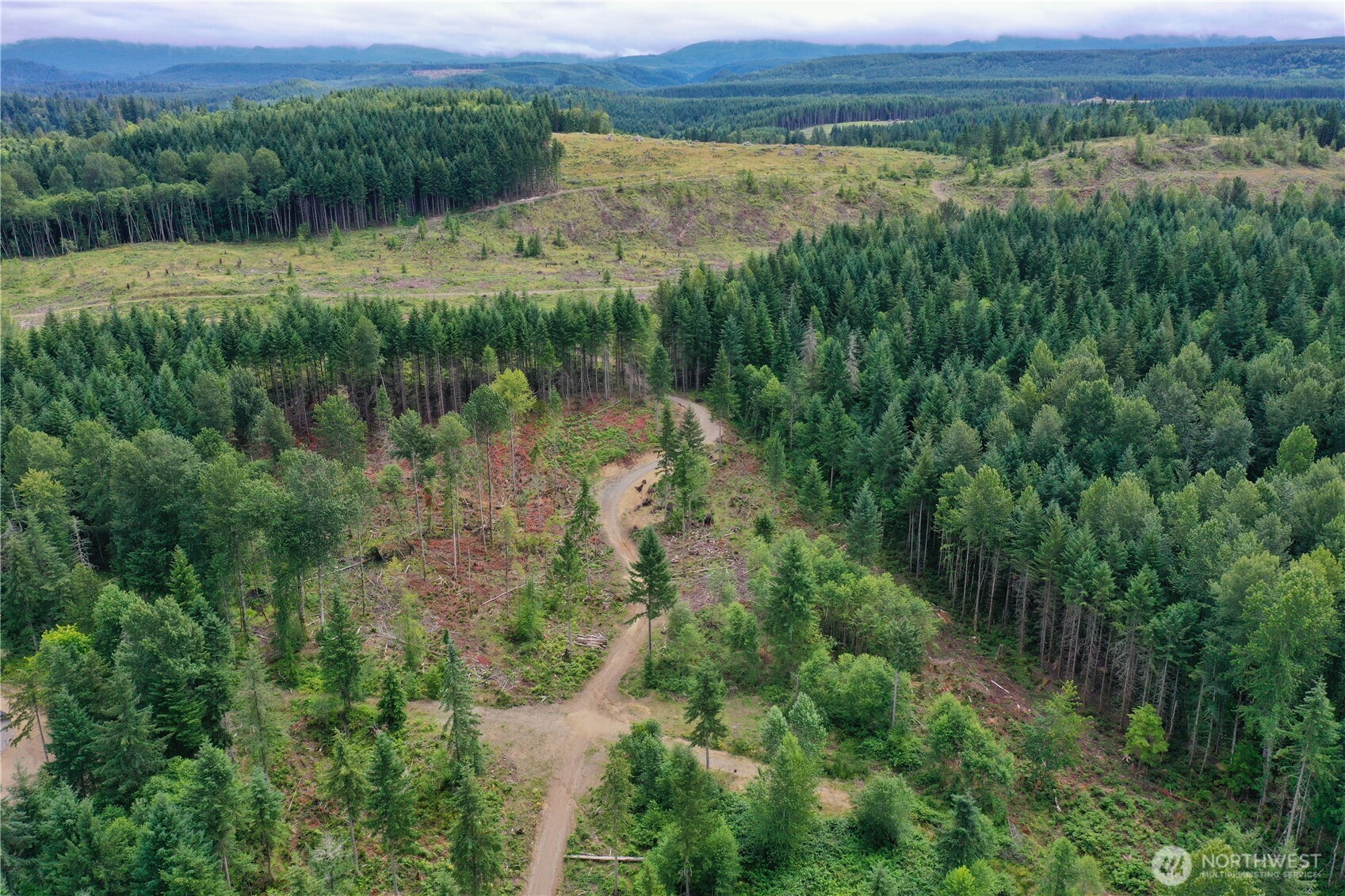 0 A P Tubbs Road Buckley, WA 98321 - Photo 26 of 27 a view of a lake with a yard