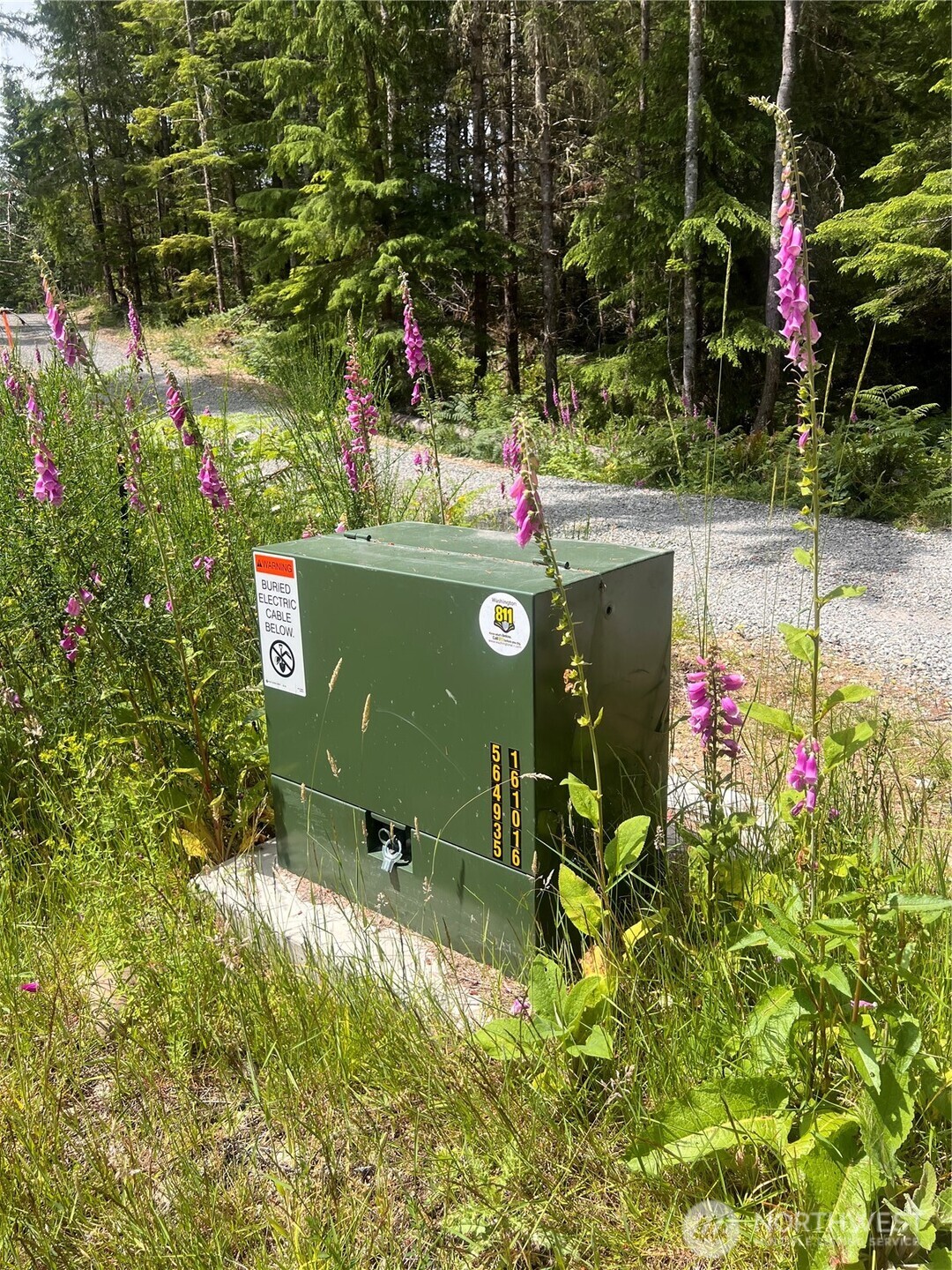 0 A P Tubbs Road Buckley, WA 98321 - Photo 4 of 27