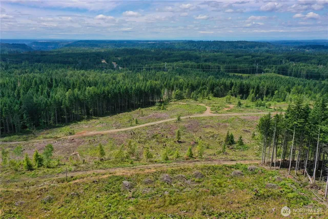 a view of a yard with plants