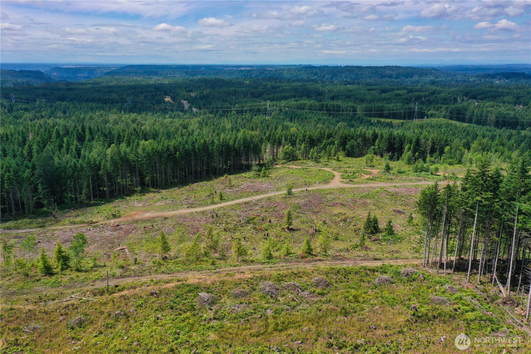 0 A P Tubbs Road Buckley, WA 98321 - Photo 7 of 27 a view of a big yard with lots of green space and mountain view