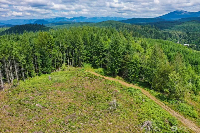 a view of a lush green space