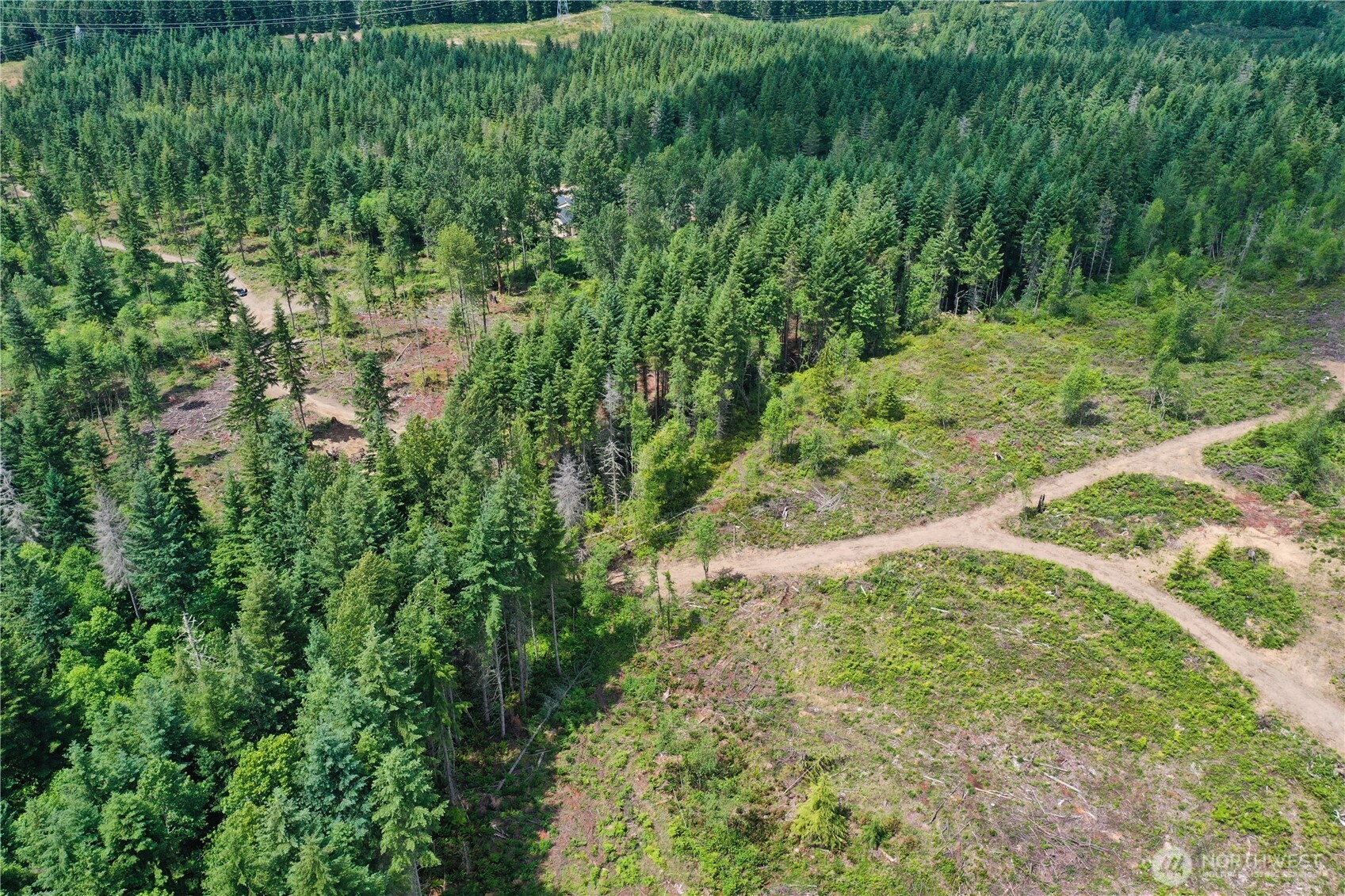 0 A P Tubbs Road Buckley, WA 98321 - Photo 10 of 27 a view of a lush green space