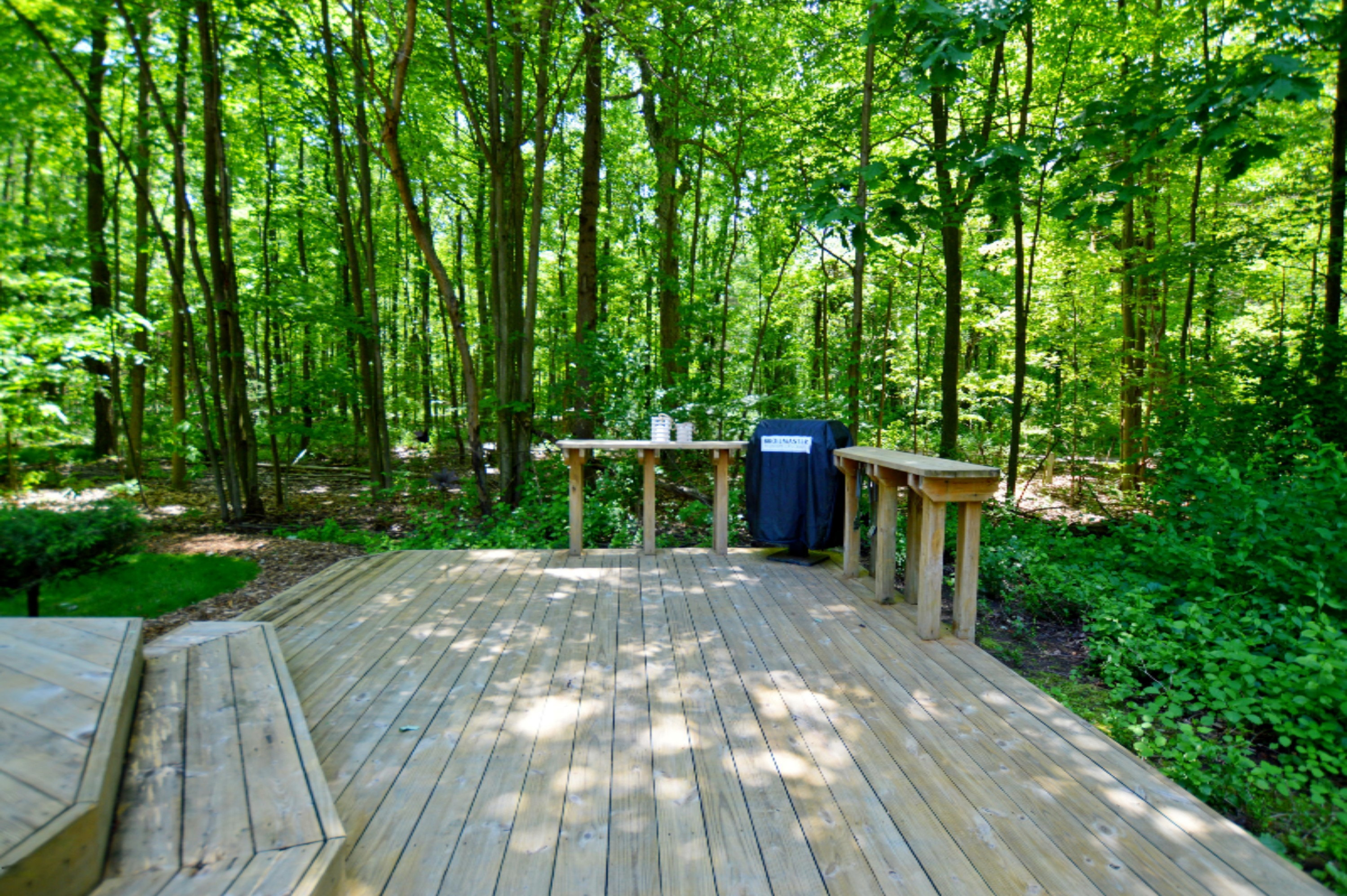 18361 North Fruitport Road Spring Lake, MI 49456 - Photo 54 of 59 DSC_0832