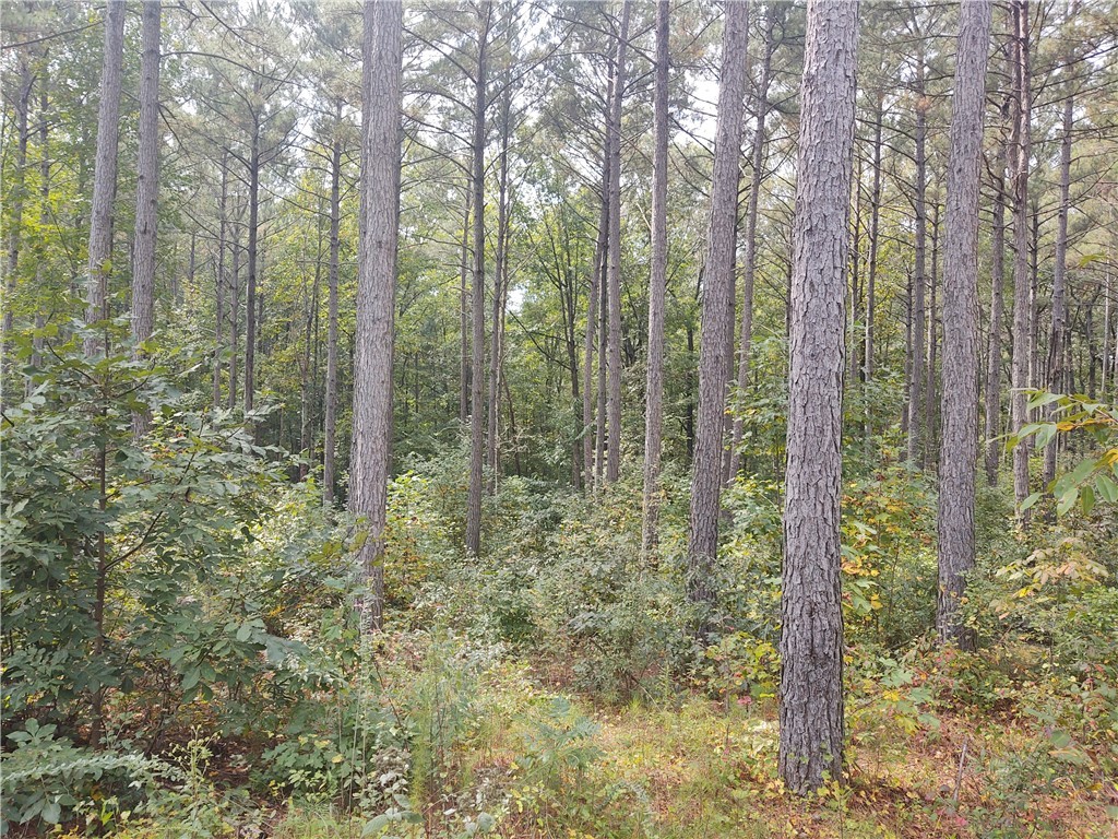 Lot 5 Harbor Point Road Seneca, SC 29672 - Photo 4 of 7 Gallery Image 4