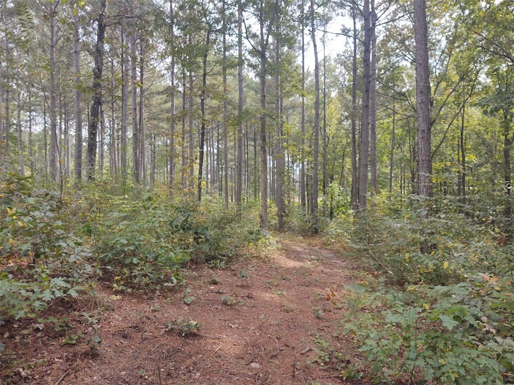 Lot 5 Harbor Point Road Seneca, SC 29672 - Photo 5 of 7 Gallery Image 5