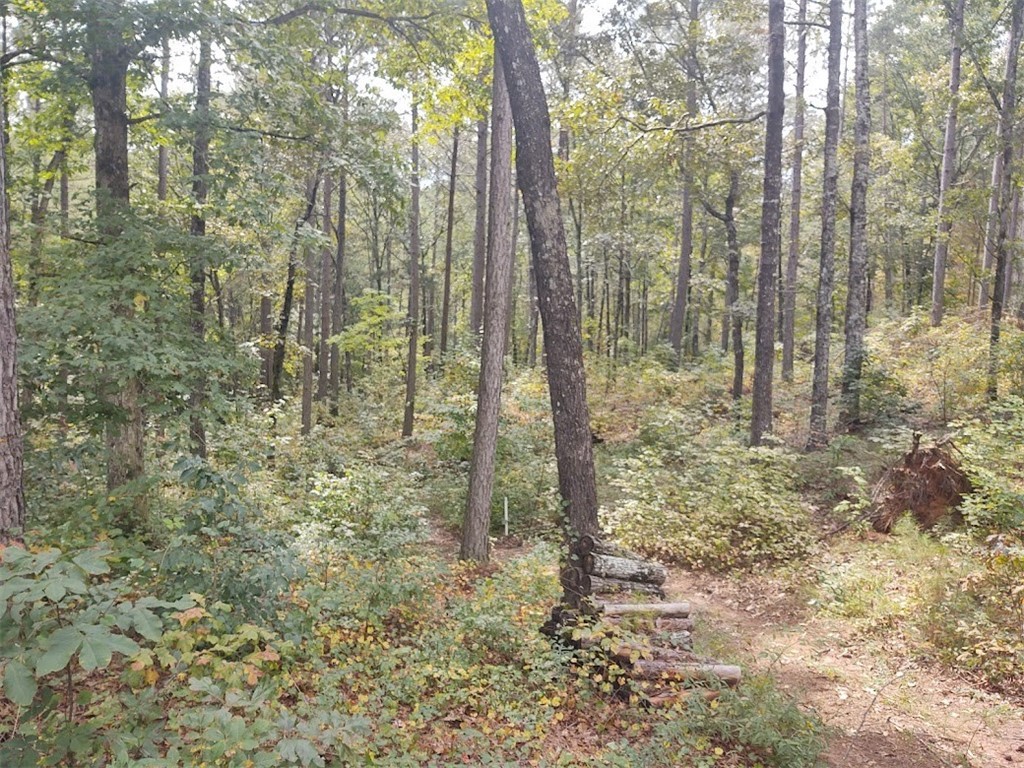 Lot 5 Harbor Point Road Seneca, SC 29672 - Photo 6 of 7 Gallery Image 6