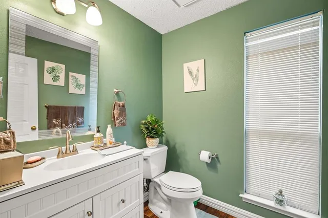 a bathroom with a sink a toilet and mirror