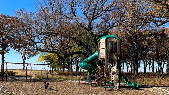 a view of a park with large trees