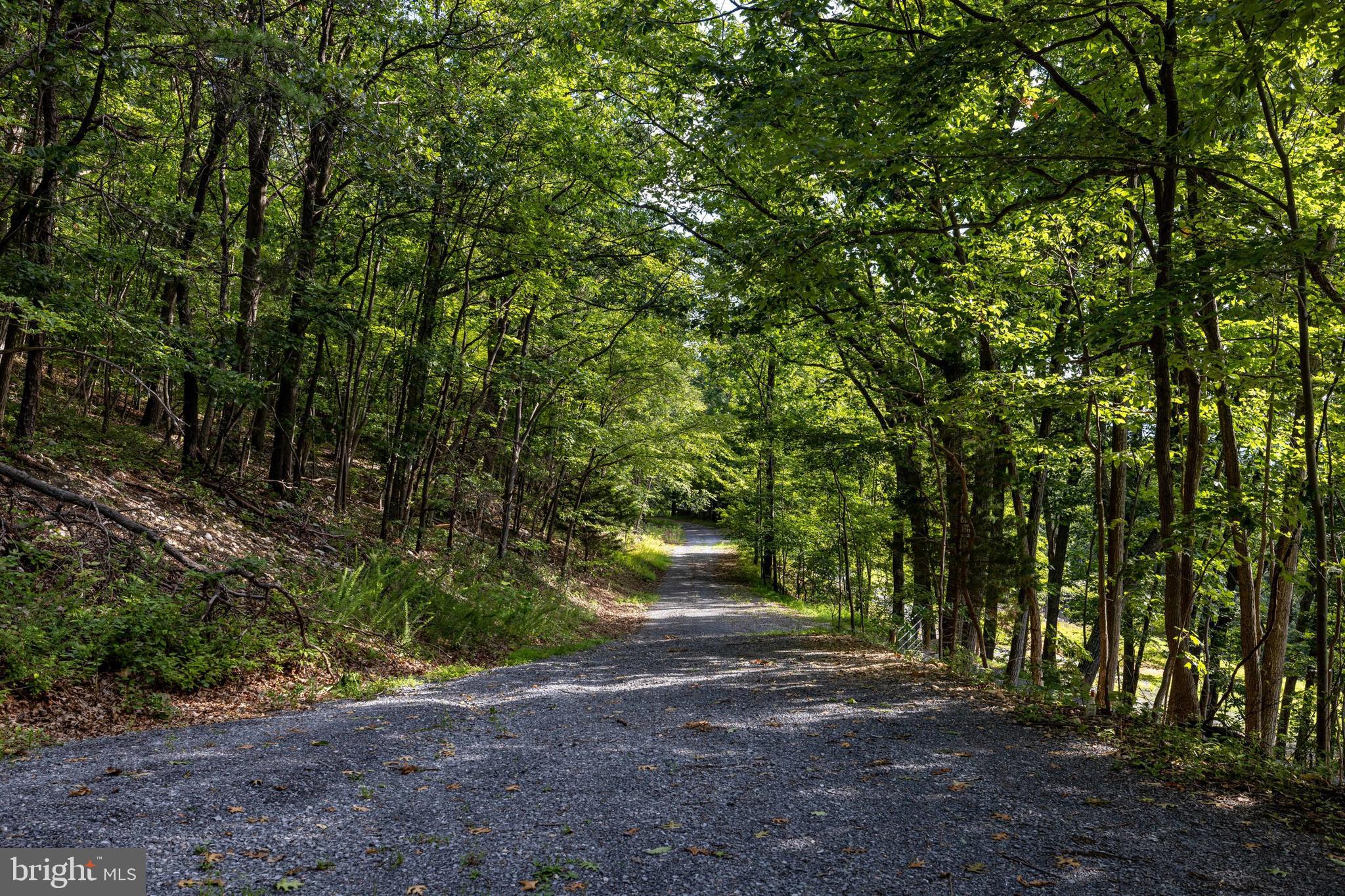 Lot B54 Roundhead Mountain Road Stanley, VA 22851 - Photo 21 of 43 Gallery Image 21