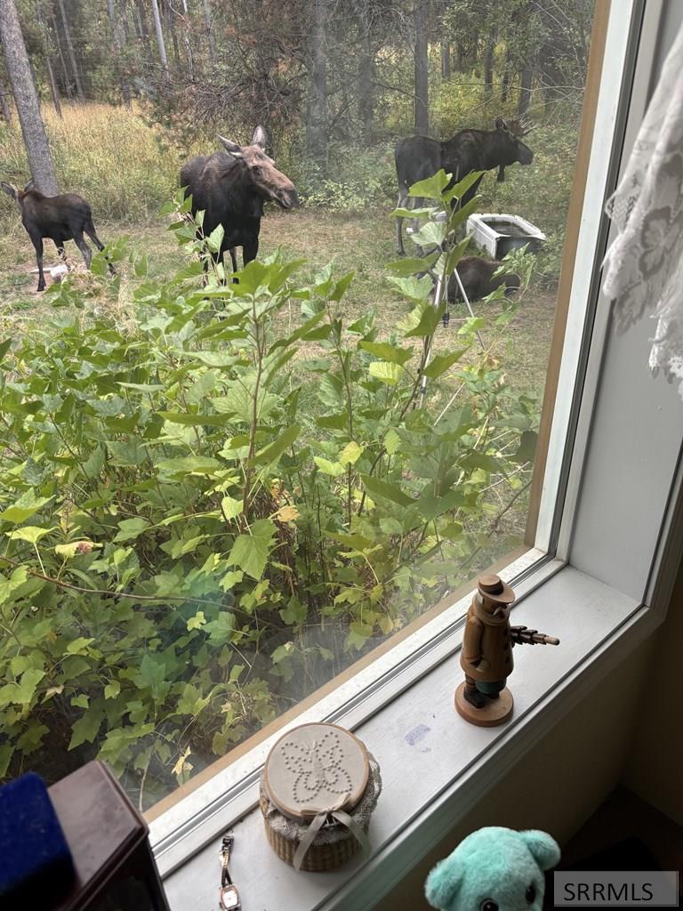 4531 Moose Lane Ashton, ID 83420 - Photo 16 of 17