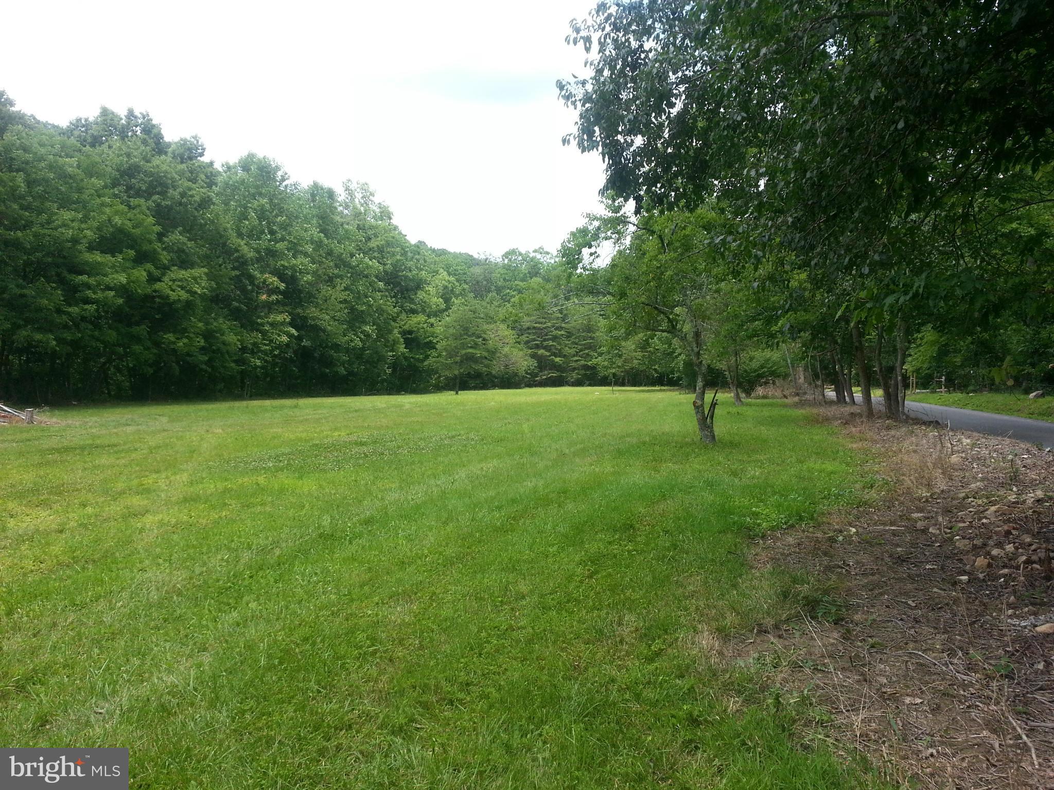 3650 Back Creek Road Gore, VA 22637 - Photo 1 of 11 Outside
