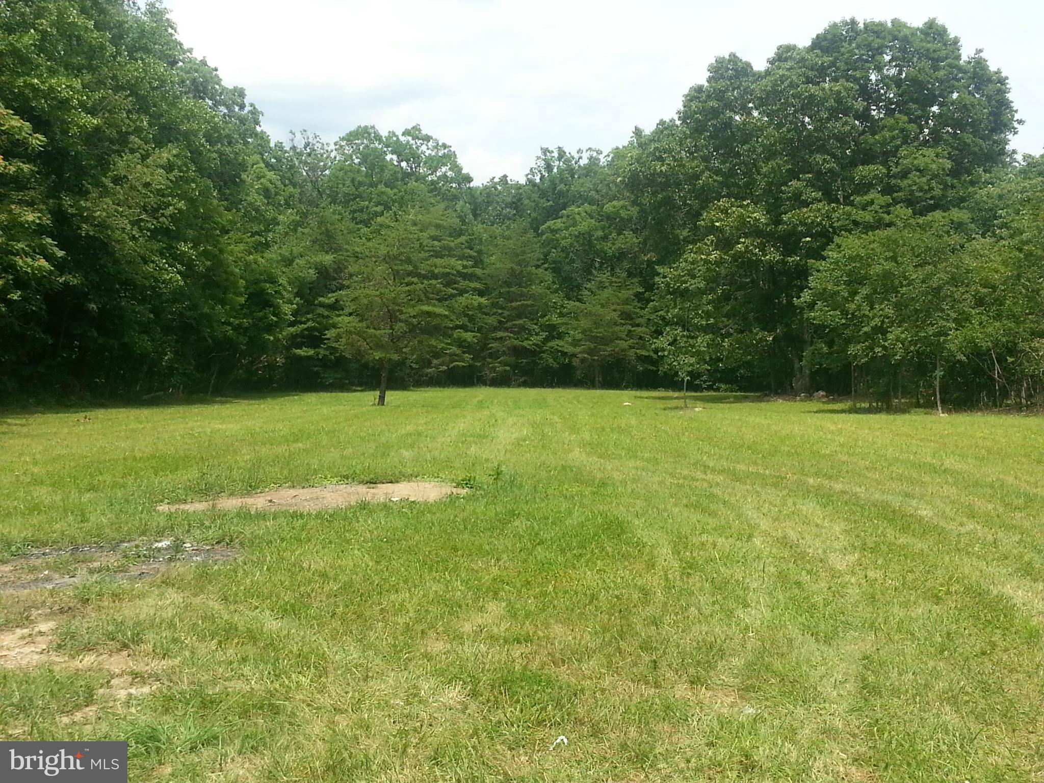 3650 Back Creek Road Gore, VA 22637 - Photo 4 of 11 outside