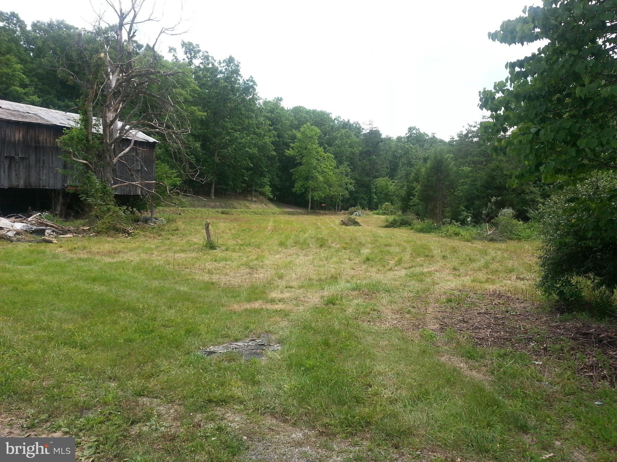 3650 Back Creek Road Gore, VA 22637 - Photo 5 of 11 outside