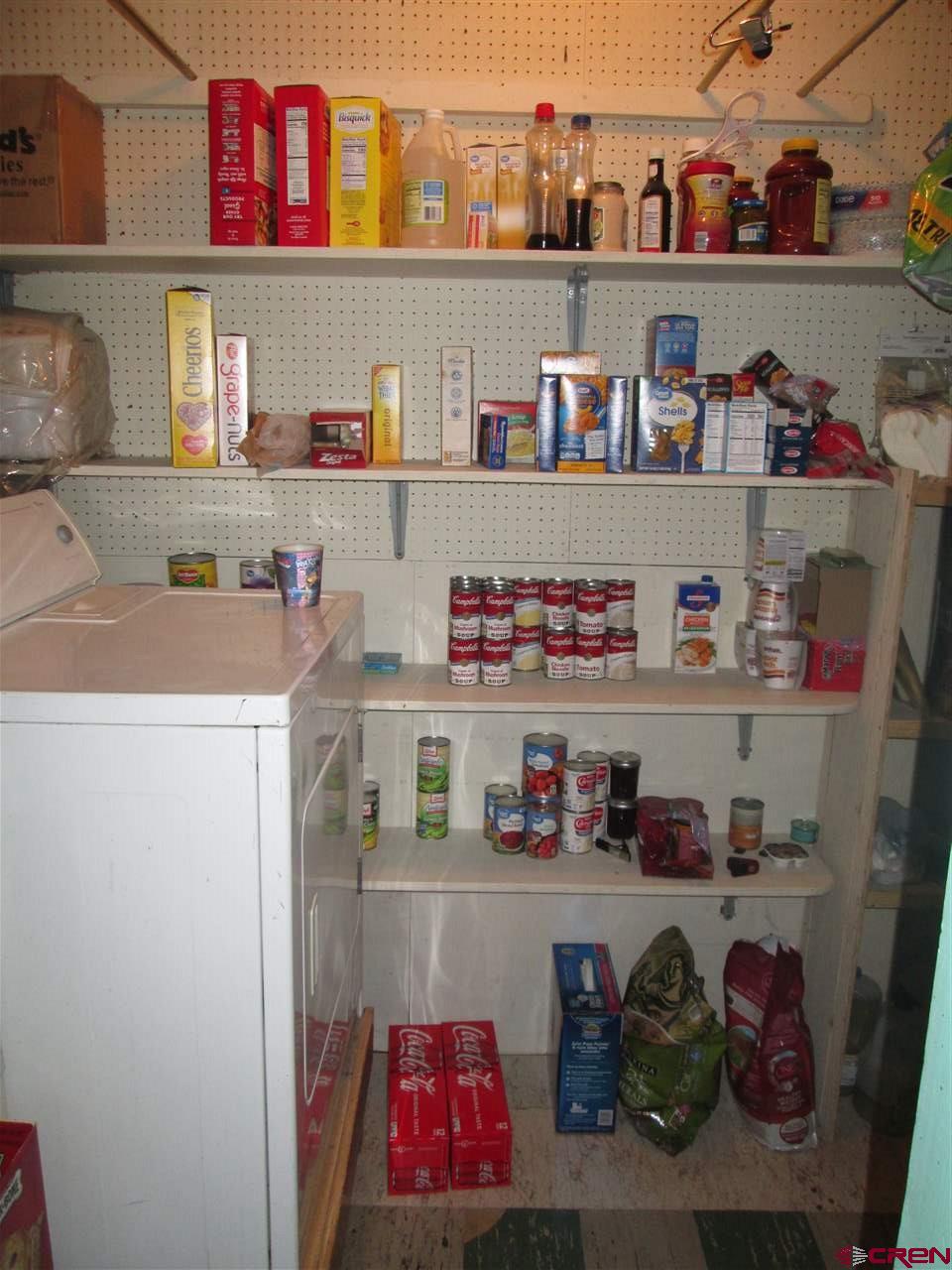 606 Spring Creek Road Montrose, CO 81403 - Photo 9 of 28 Gallery Image 9