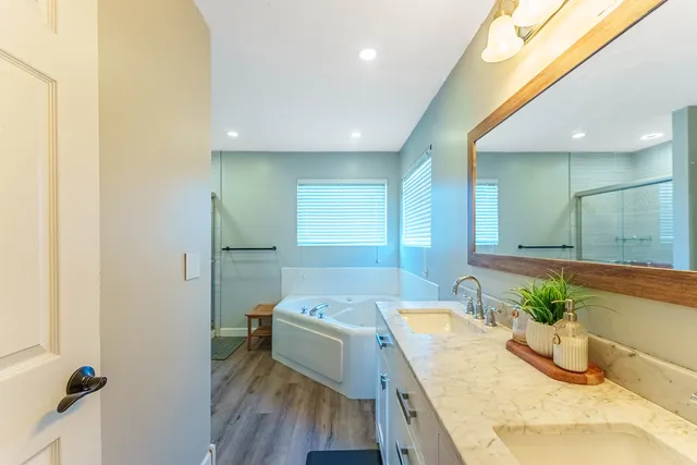 a bath room with a sink a mirror and a potted plant