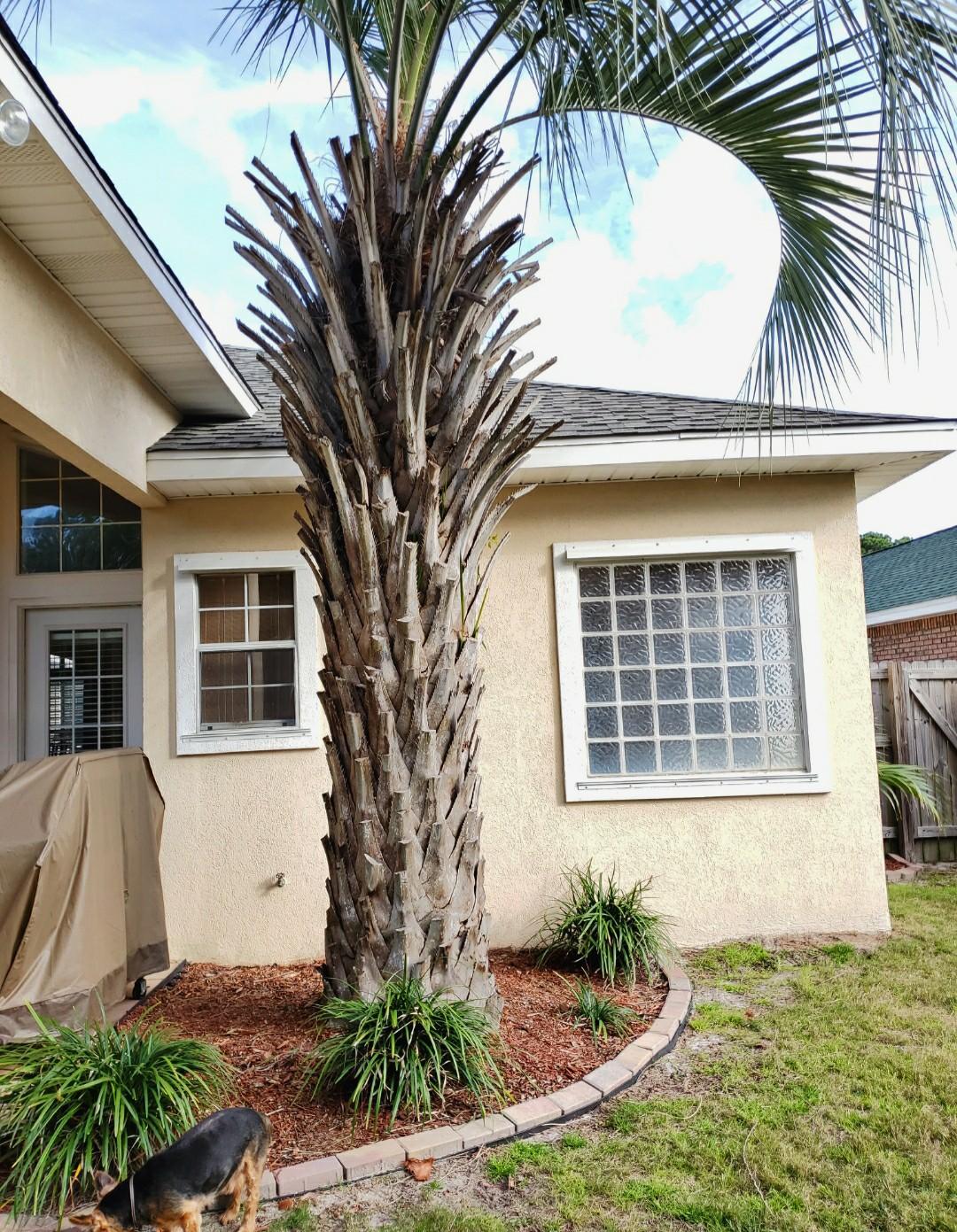 3911 Mesa Road Destin, FL 32541 - Photo 29 of 36 a front view of a house with garden