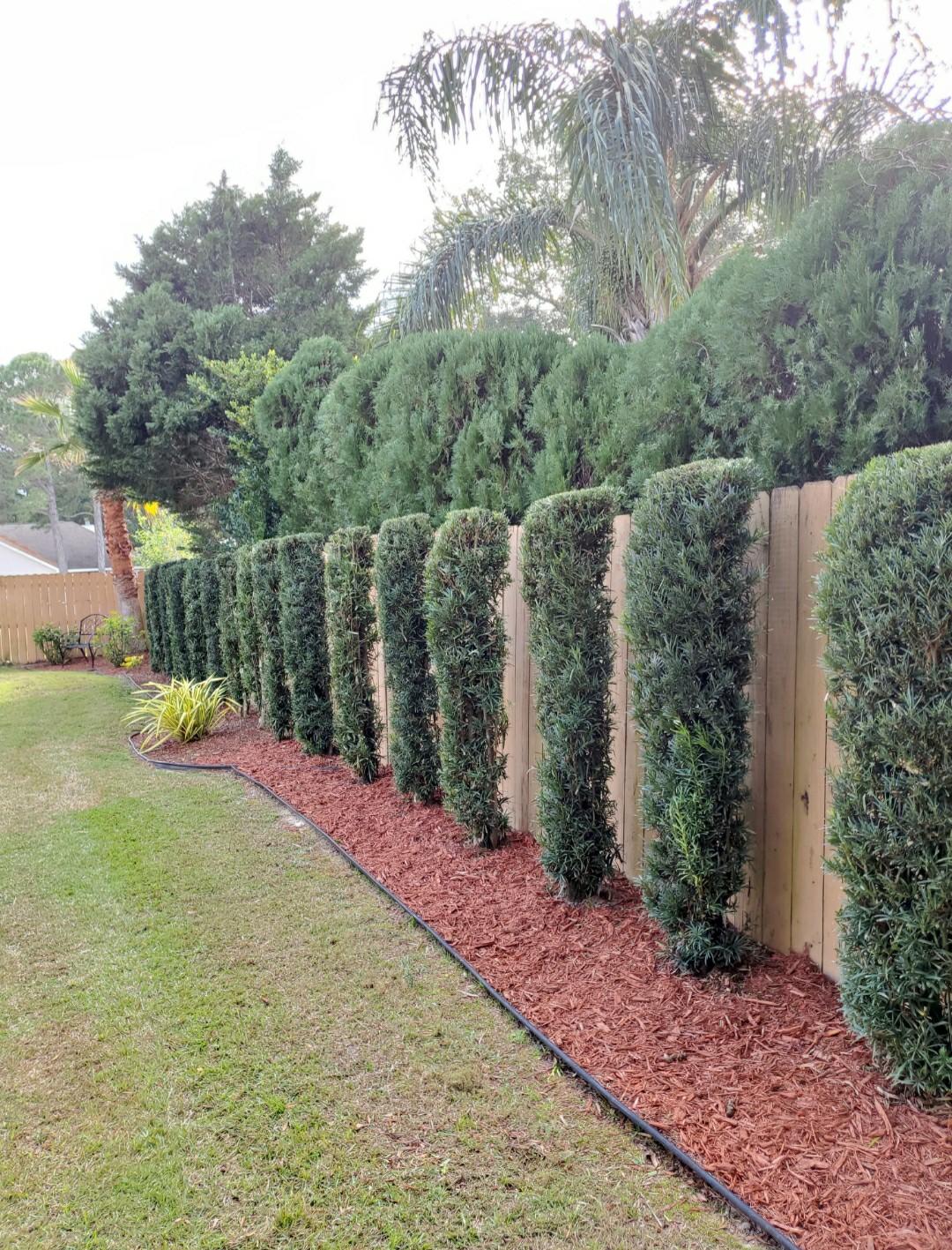 3911 Mesa Road Destin, FL 32541 - Photo 30 of 36 a view of a backyard